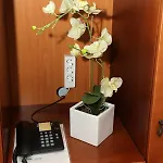 Ivana Bed and Breakfast 3*