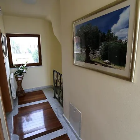 Ivana Bed & Breakfast